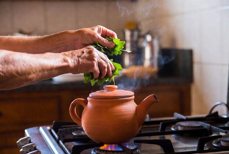 Truque do Avô Brasileiro – Preparando chá de ervas caseiras