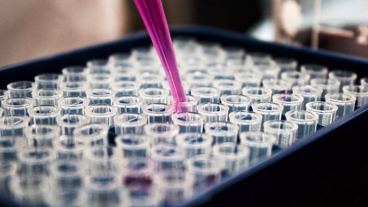 Pesquisa científica sobre gordura visceral Pesquisador em laboratório estudando amostras relacionadas ao metabolismo e gordura visceral