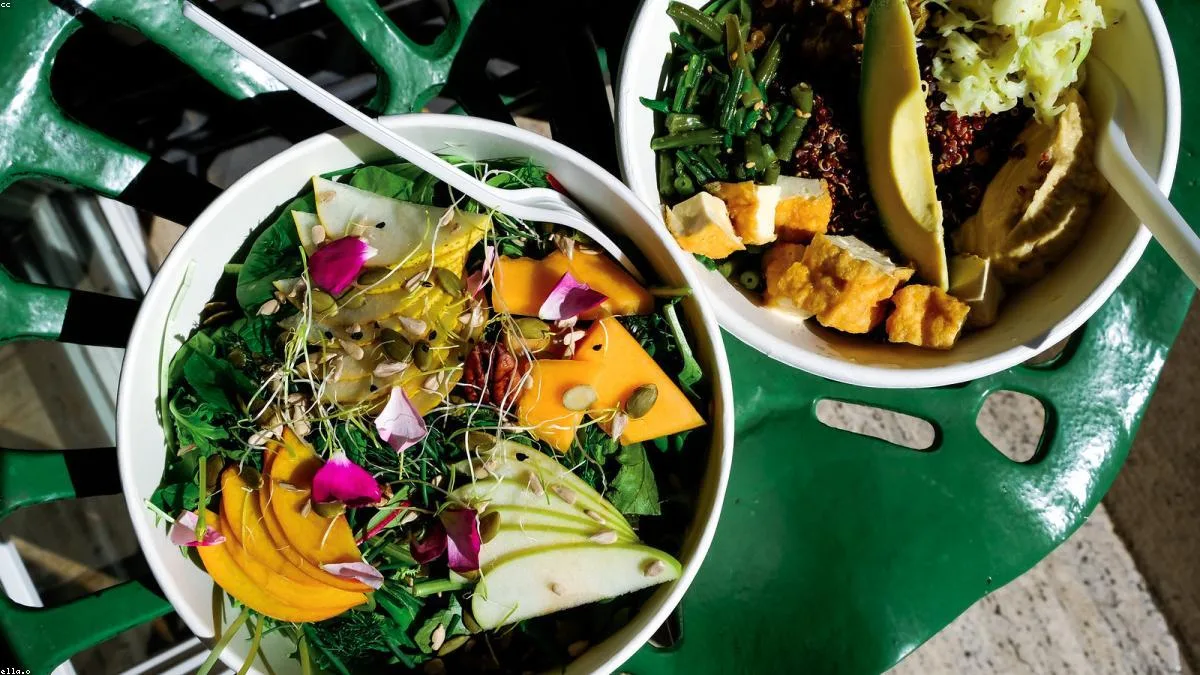células e metabolismo da gordura com alimentação natural colorida
