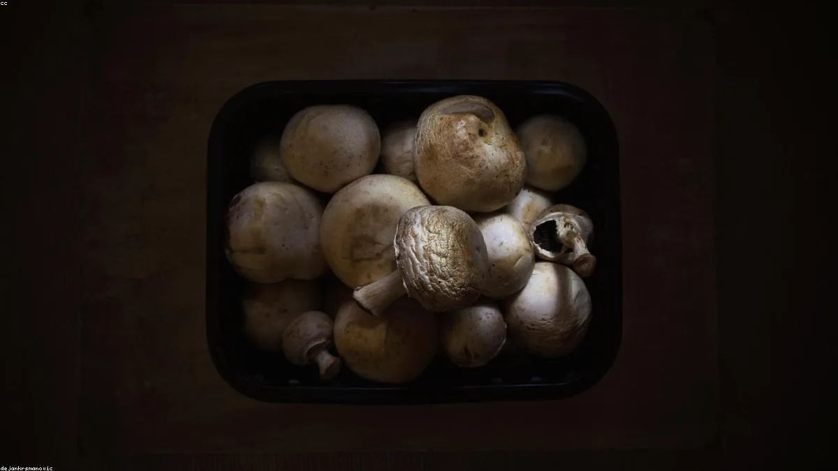células e queima de gordura com alimentação saudável e natural