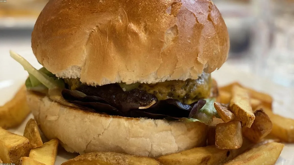 queima de gordura e alimentação saudável nos horários certos
