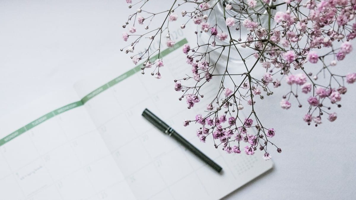 Planner e calendario representando o cronograma de aplicacao semanal do Ozivy