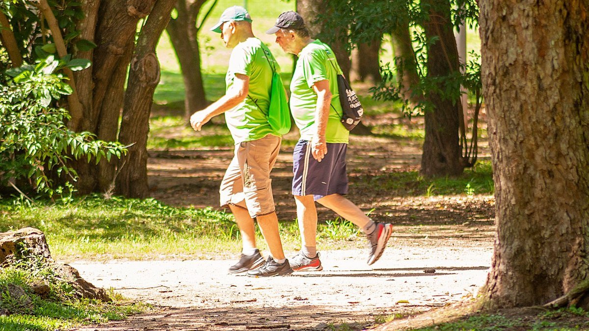 Dois homens caminhando em um caminho de parque arborizado, exemplo de atividade aeróbica moderada