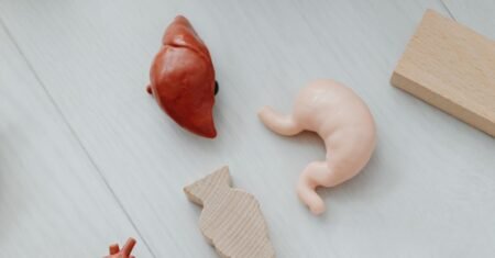 Como eliminar gordura no fígado? O que a ciência recomenda
